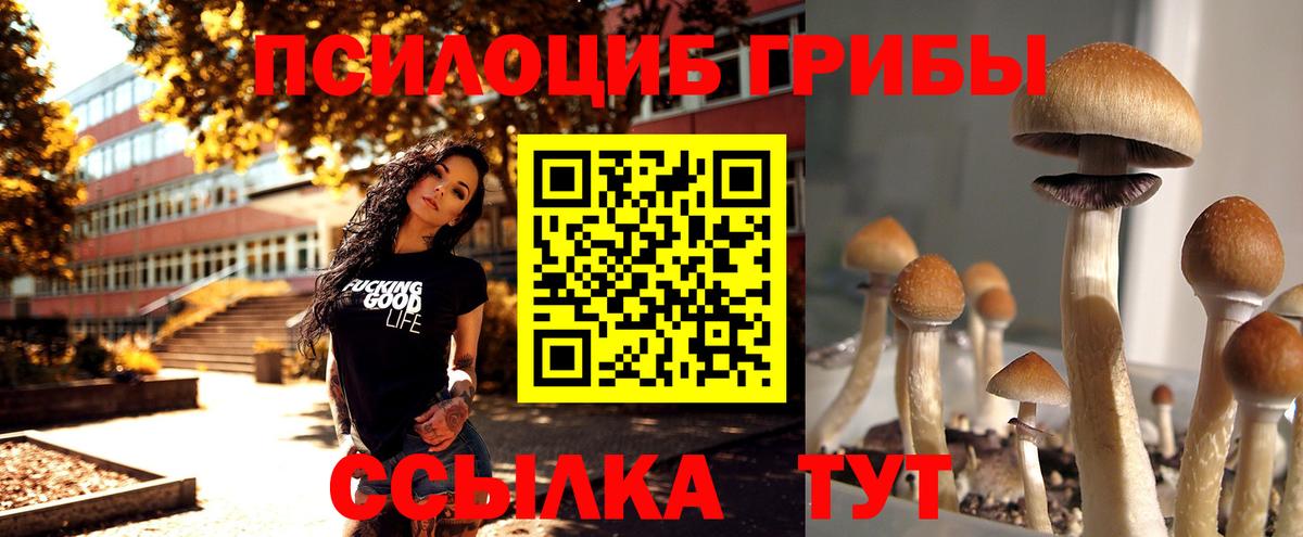 Кудрово  Псилоцибиновые грибы MAGIC MUSHROOMS  Вход с VPN 