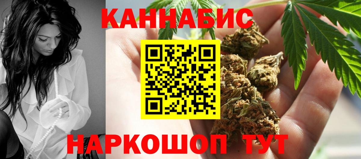 Каннабис OG Kush Кудрово